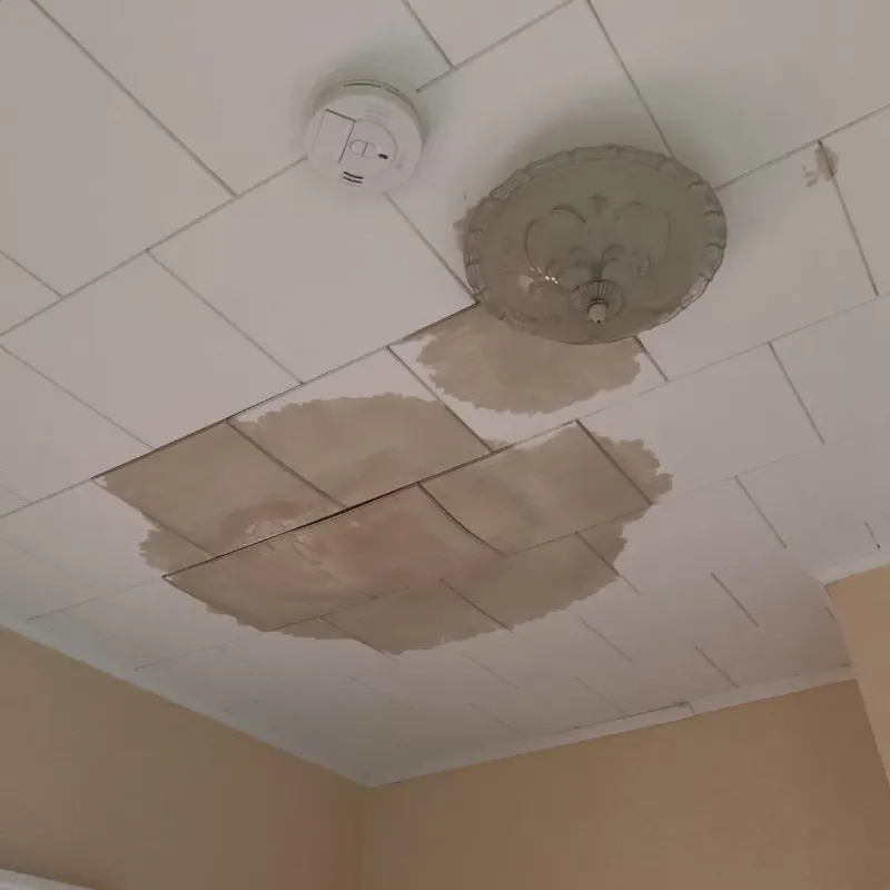 Ceiling Water Damage Repair in Bernardsville, NJ